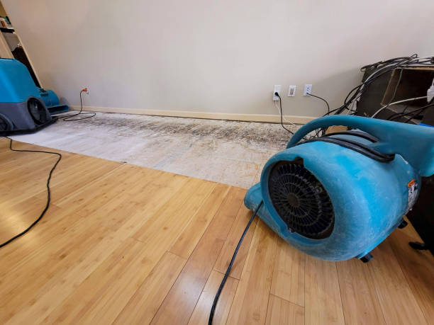 Professional Structural Drying technician working in Livingston, TN